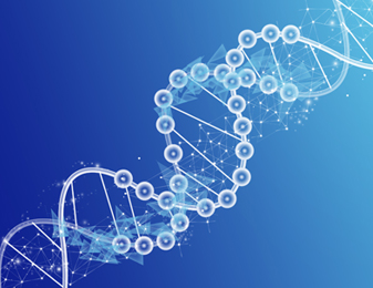 hjc222黄金城官网